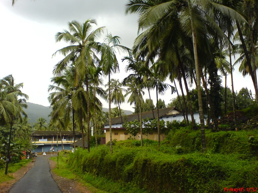 A village road with palms and distant hills