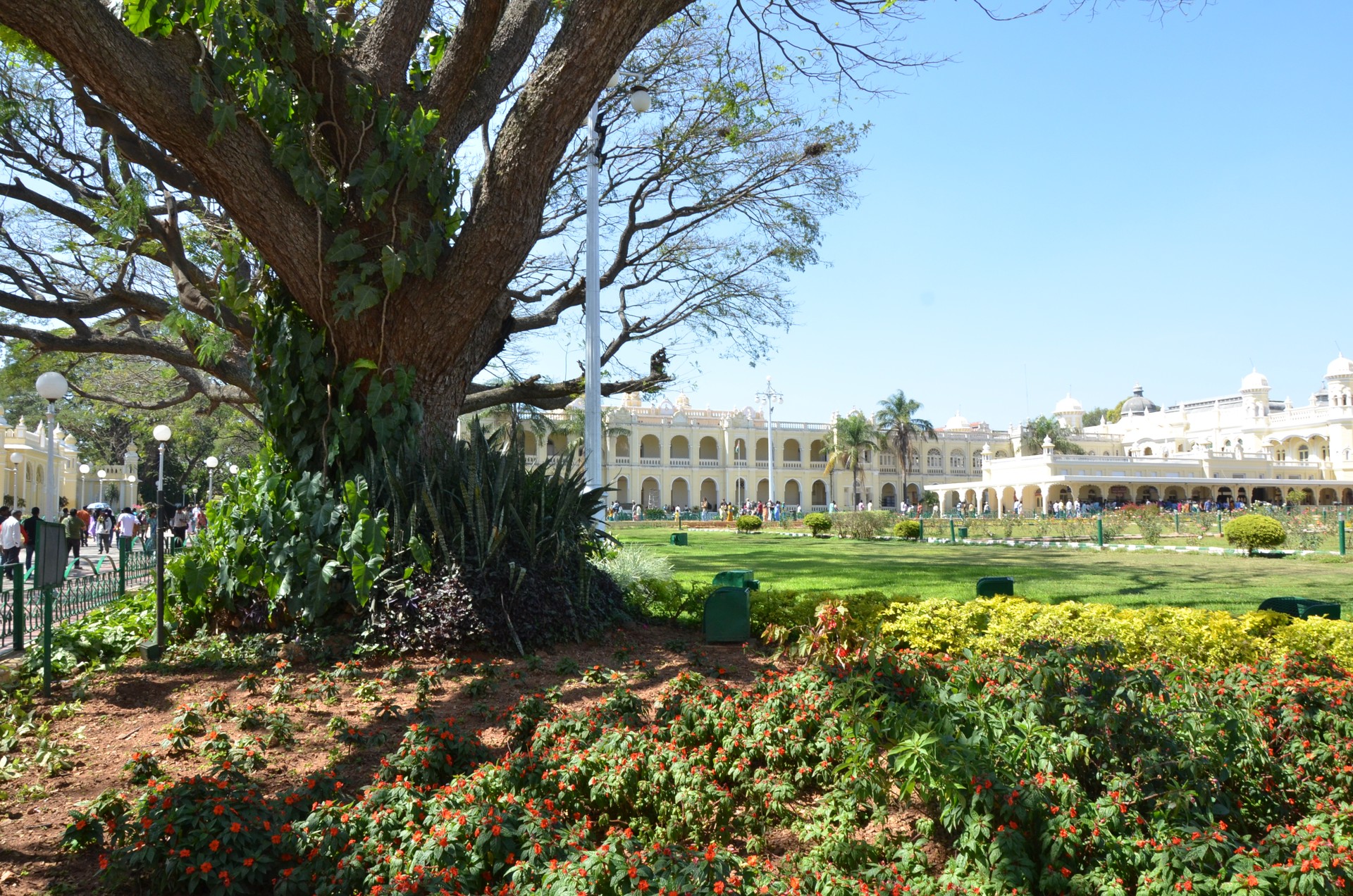 Mysore Palace Amba Vilas cover