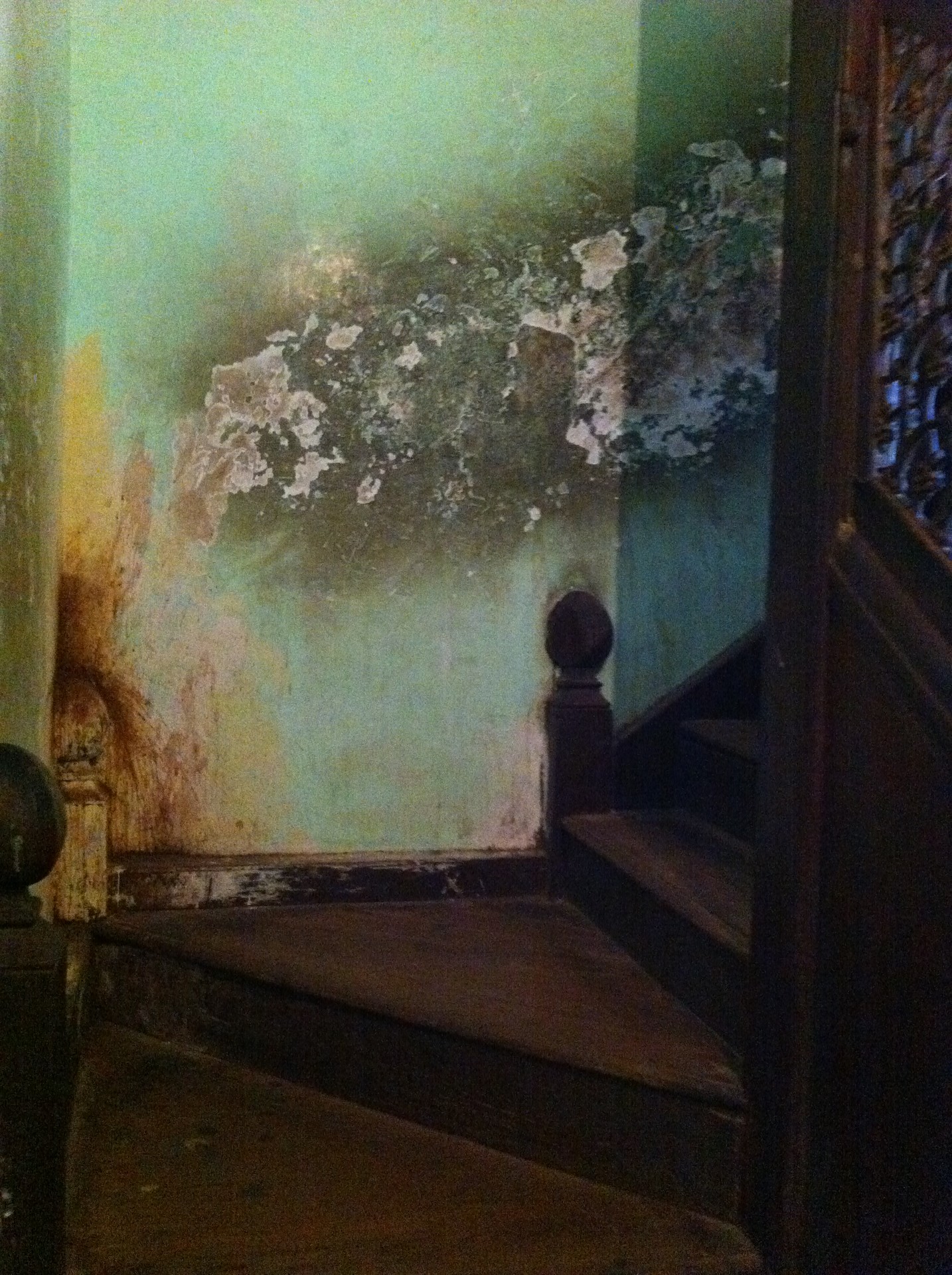 Palace Residential Museum cover