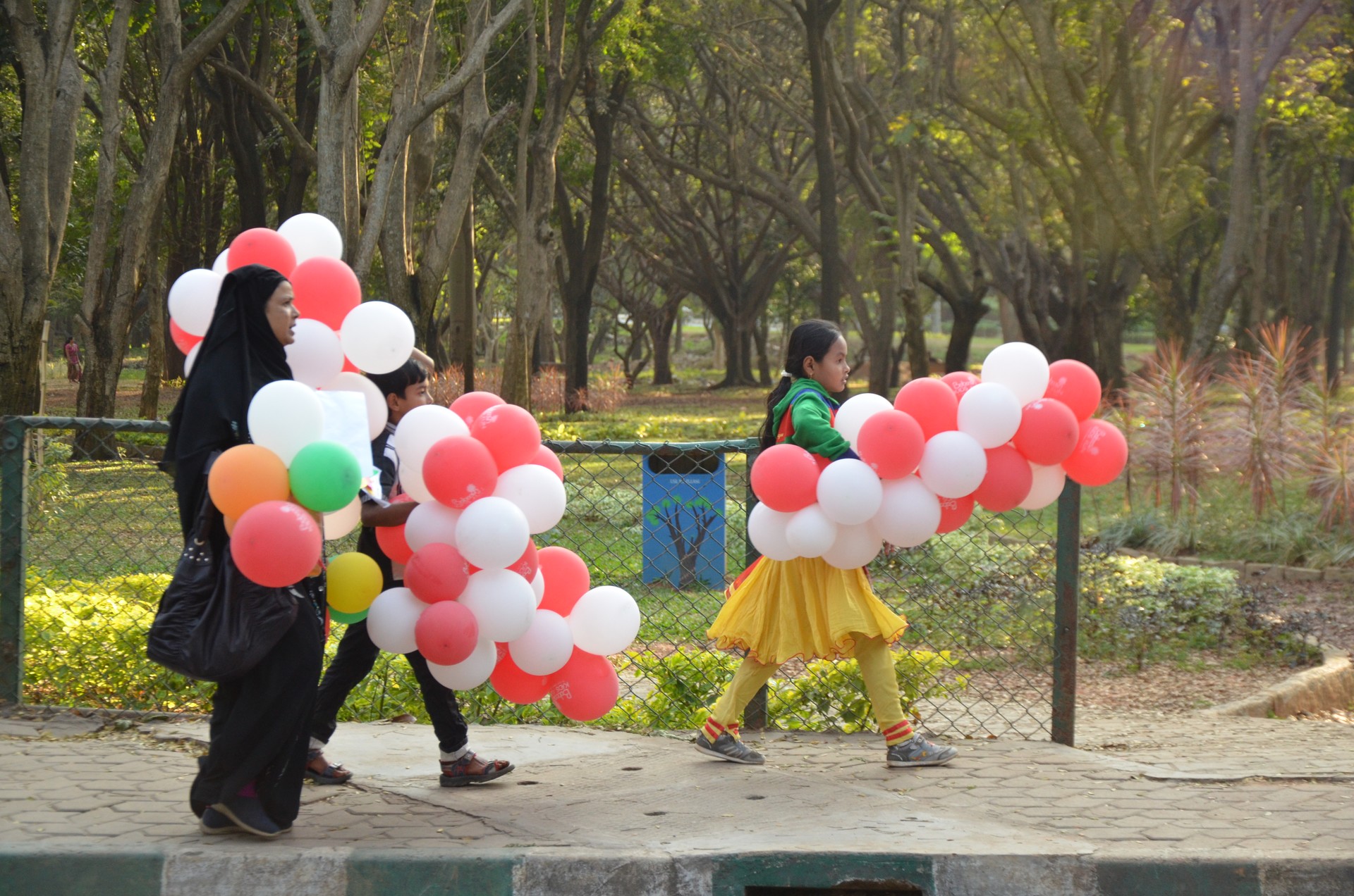 Cubbon Park cover