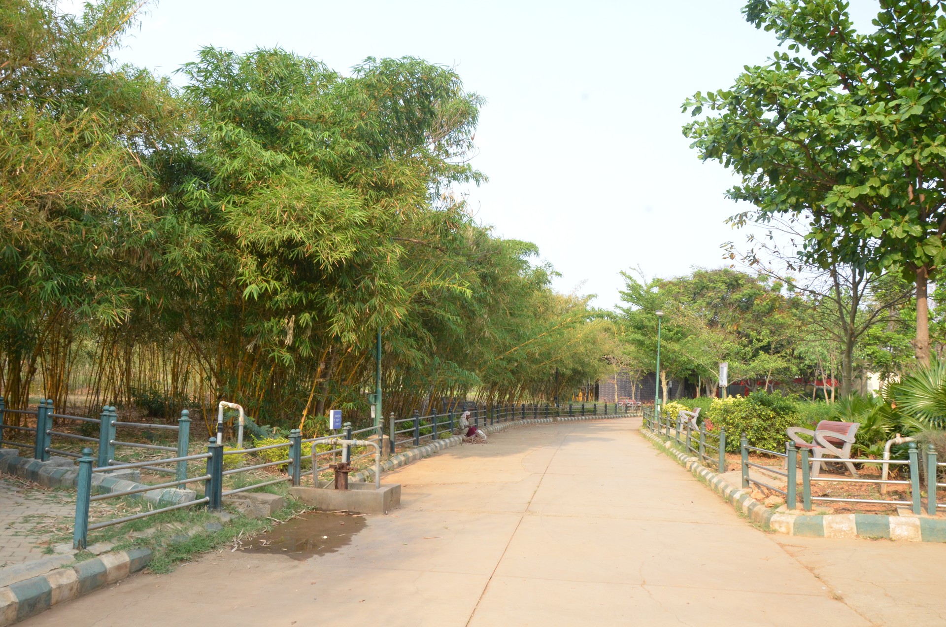 Park Garden cover
