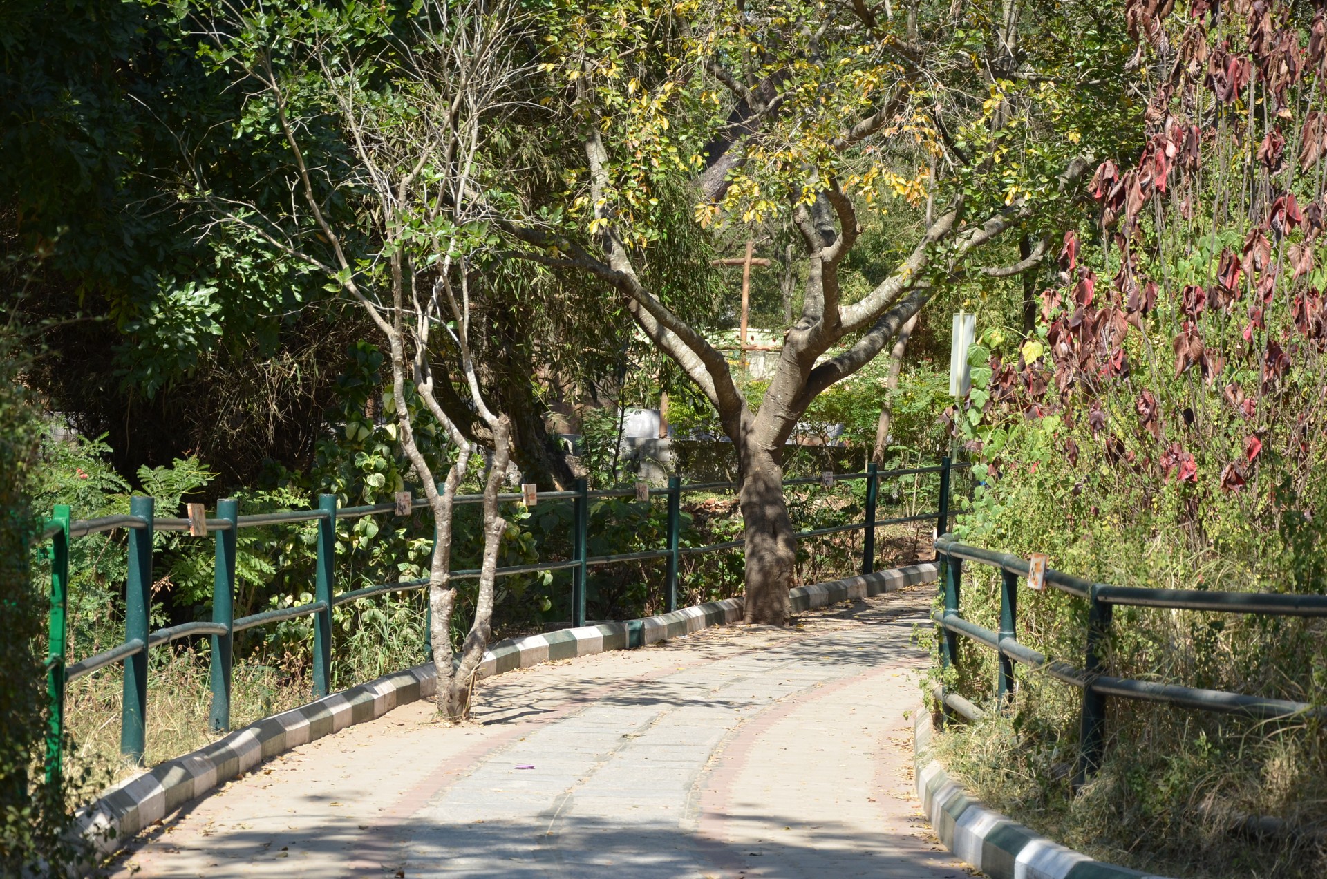 Mysore Zoo Zoological Garden 1 cover