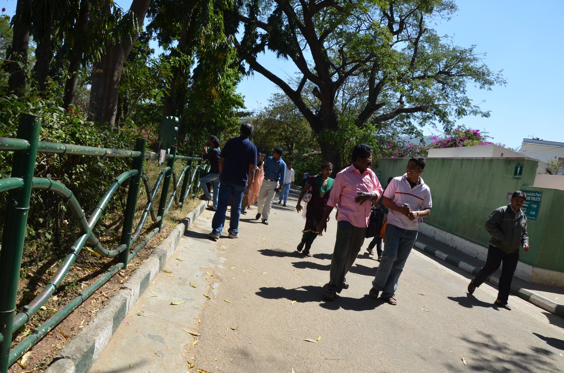 Mysore Zoo Zoological Garden 2 cover