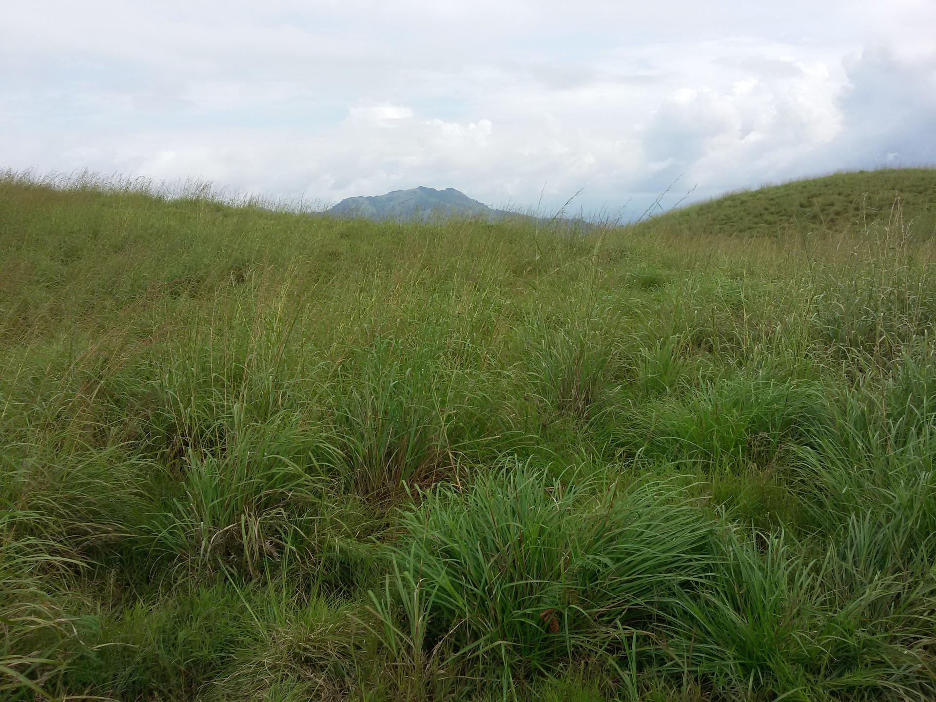 Chembra Peak Heart Lake cover