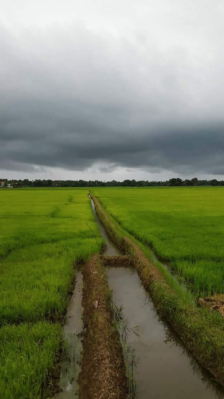 Gods Own Country 14 cover