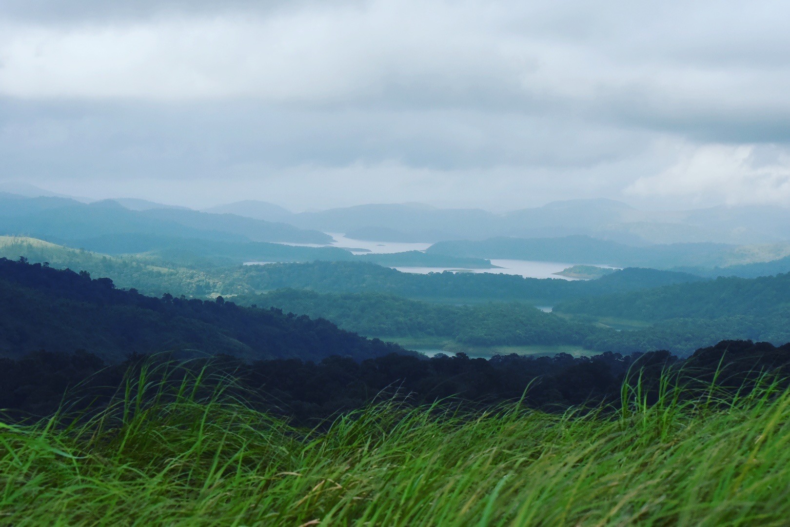Gods Own Country 15 cover