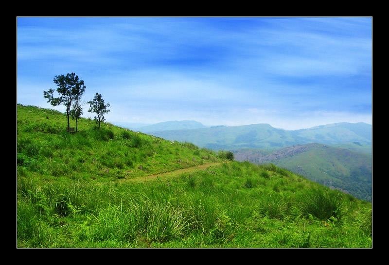Gods Own Country 16 cover