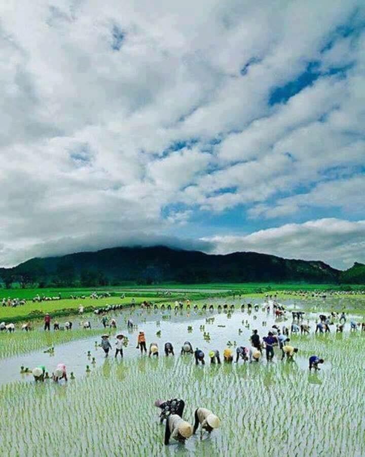 Gods Own Country 18 cover