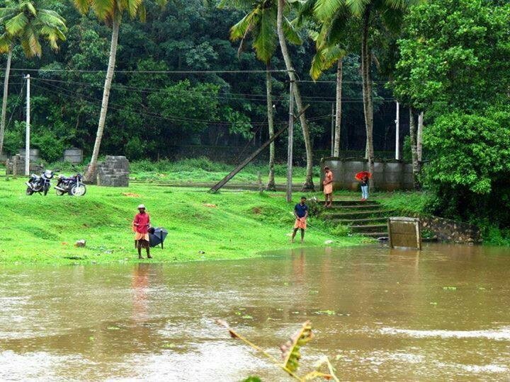 Gods Own Country 2 cover