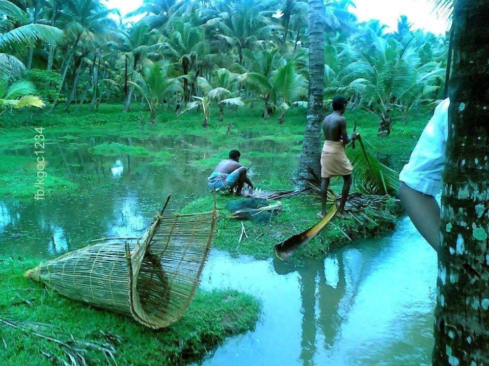 Gods Own Country 5 cover