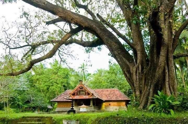 Hindu Temples Kerala cover