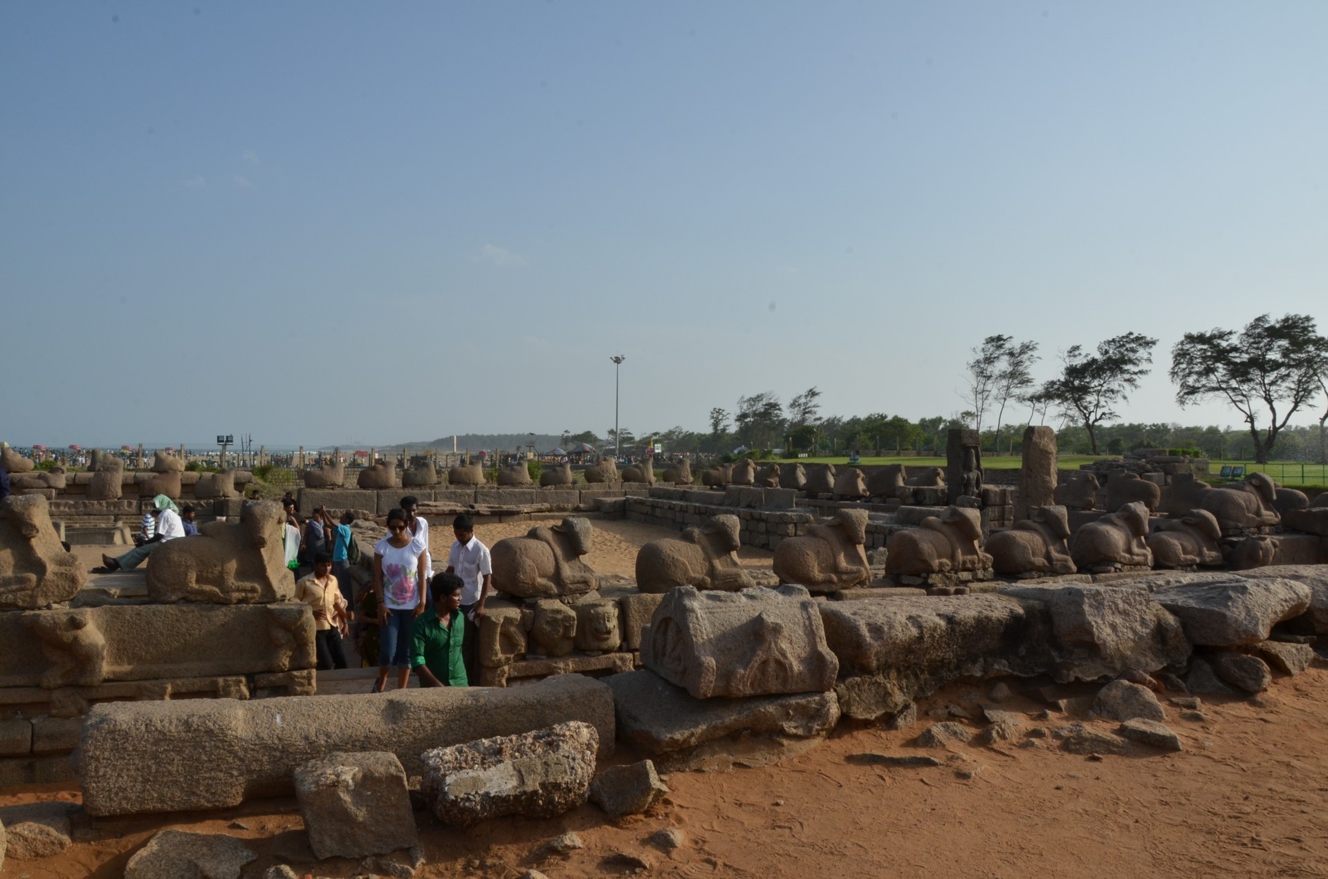 The Shore Temple Mahabalipuram cover