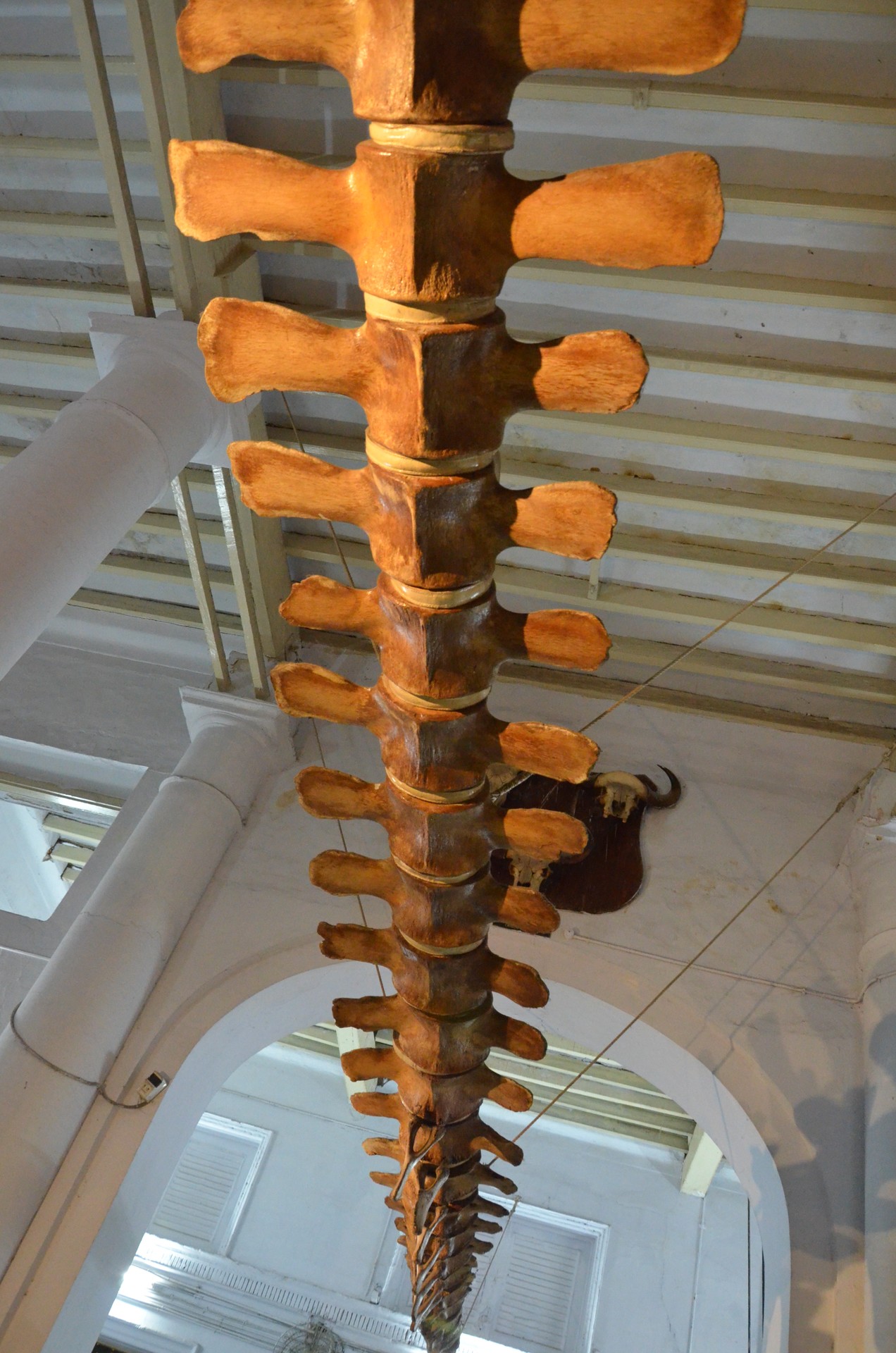 Government Museum Chennai 1 cover
