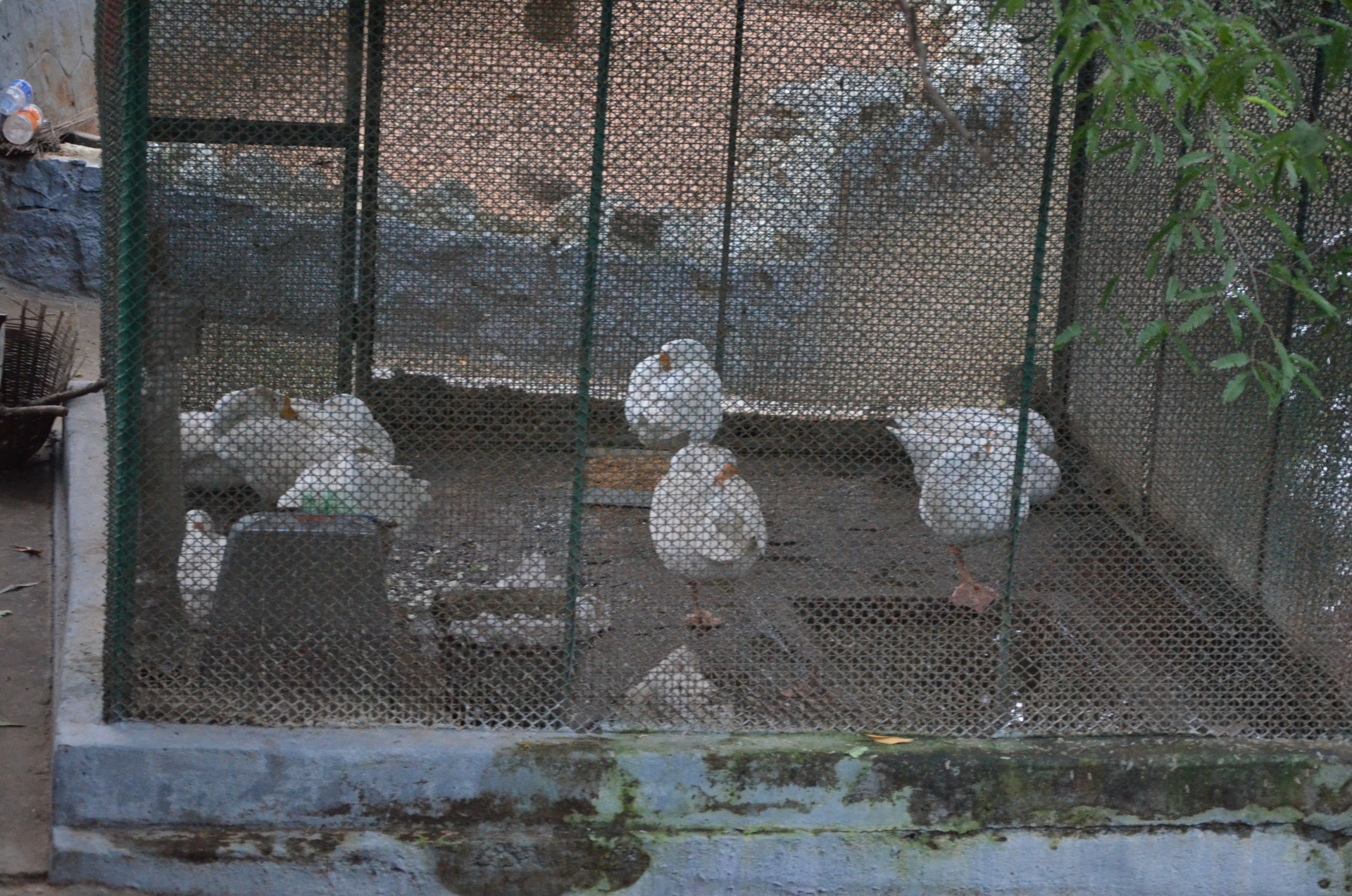 Arignar Anna Zoological Park 2 cover