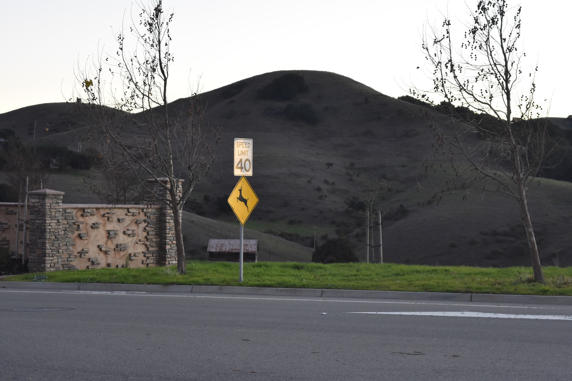 Dublin Hills Regional Park CA cover