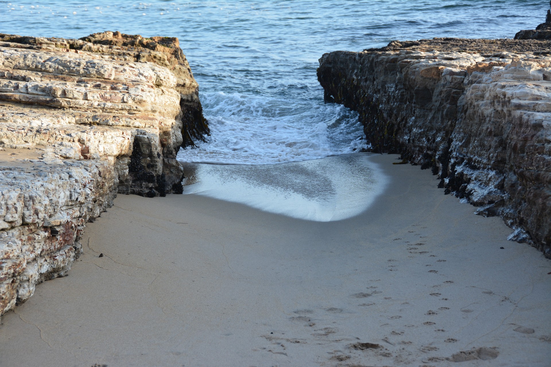 Panther Beach Santa Cruz cover