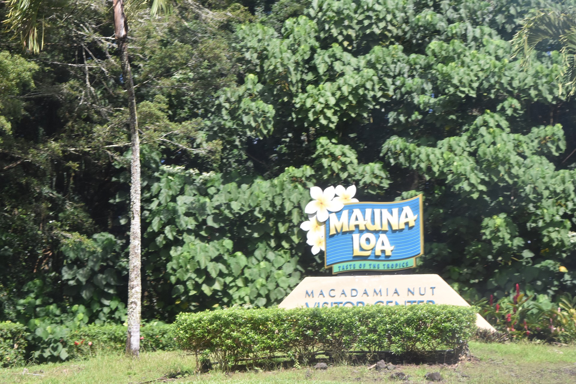 Mauna Loa Macadamia Nut cover