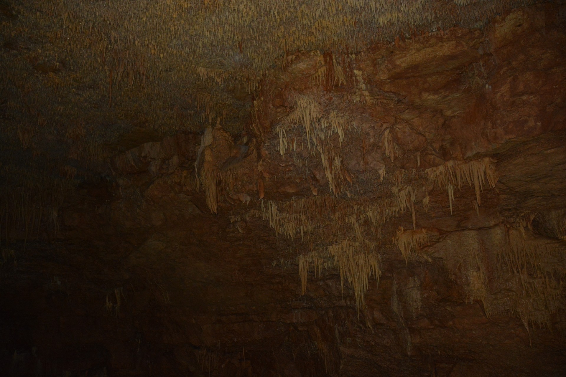 Natural Bridge Caverns cover