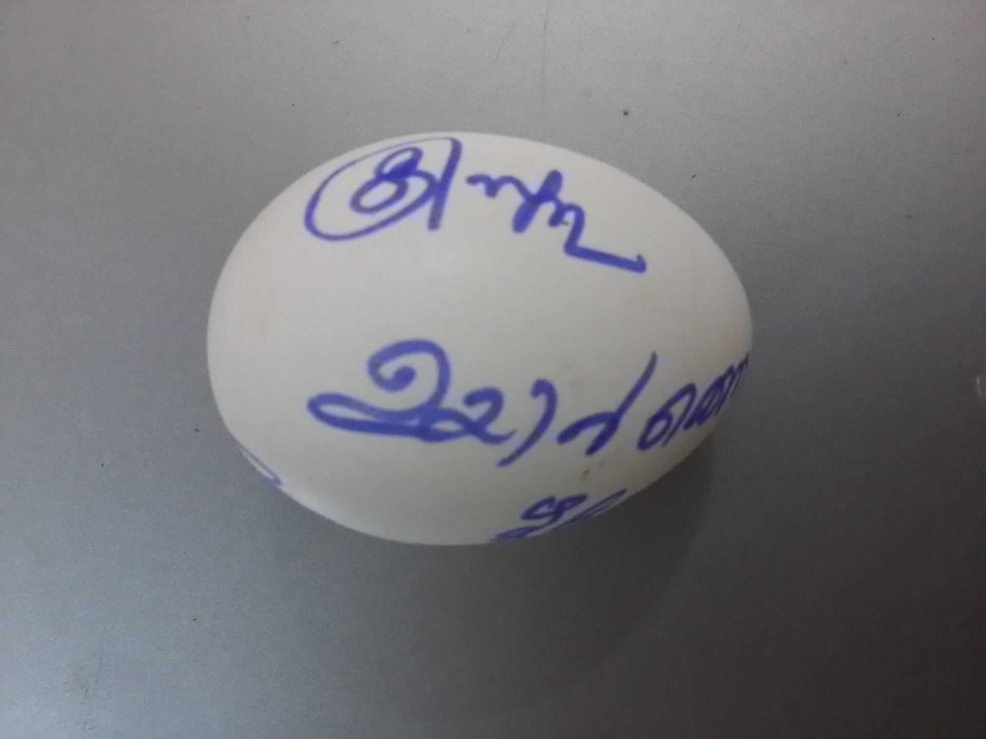 Easter Vigil Easter Egg archive cover
